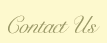 Contact Us